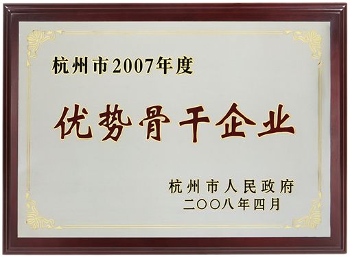 杭州市2007年度优势骨干企业